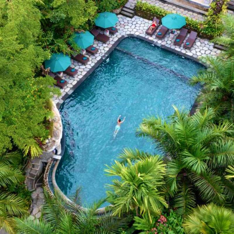 The Sakti Garden Resort & Spa Sakti Gardens Pool with trees
